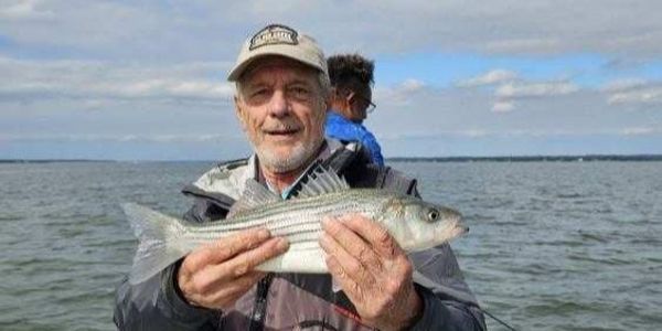 Lake Anna 6 Hour Striped Bass Fishing Trip